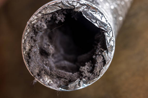 Best Best Air Duct Cleaning Company  in Chapin, SC