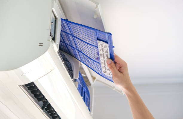 Best Home Air Vent Cleaning  in Chapin, SC