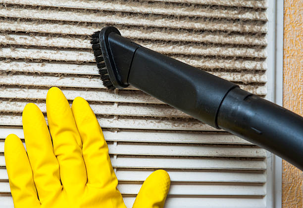 Best Air Duct Mold Removal  in Chapin, SC