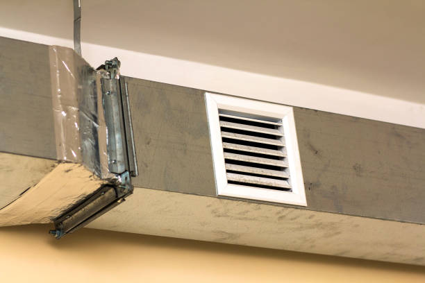 Best Air Duct Sanitizing Services  in Chapin, SC